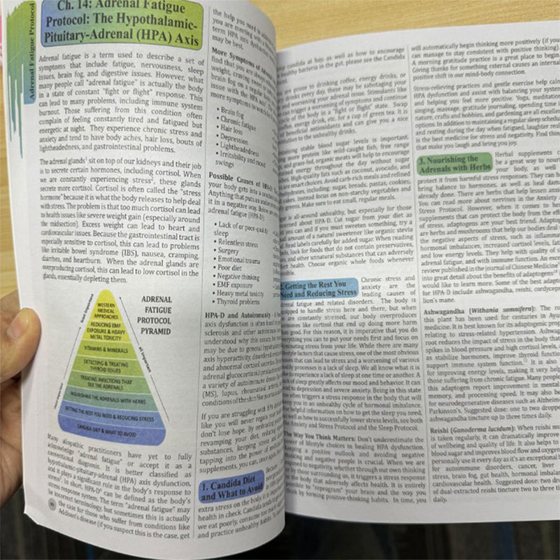 Holistic Guide To Wellness Herbal Remedies For Common Ailments