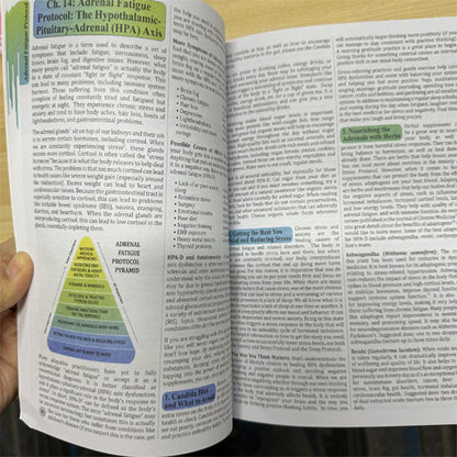 Holistic Guide To Wellness Herbal Remedies For Common Ailments