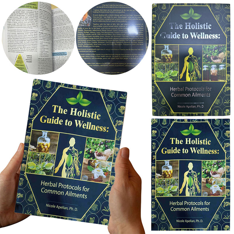 Holistic Guide To Wellness Herbal Remedies For Common Ailments